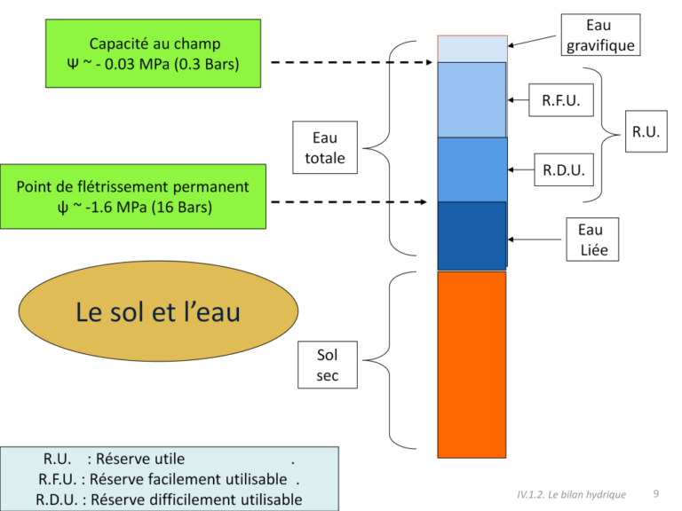 La réserve en eau utile