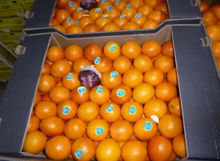 les variétés d'oranges sanguines