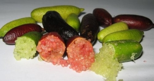 Fruits citron caviar