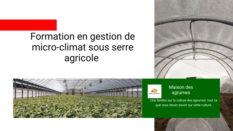 Formation en gestion de microclimat sous serre