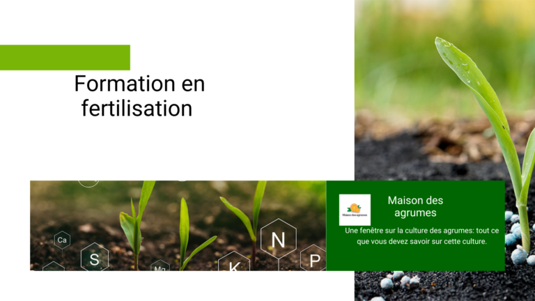 Formation en fertilisation